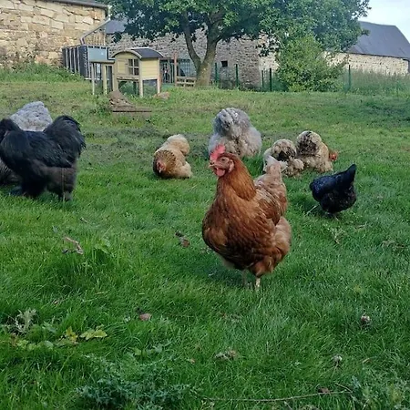 Gite De La Petite Ferme Bretonne Louargat Exterior photo