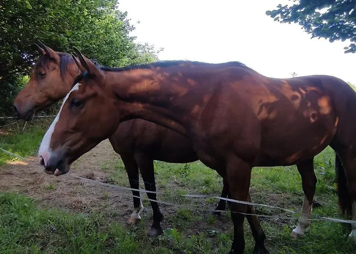 Gite De La Petite Ferme Bretonne