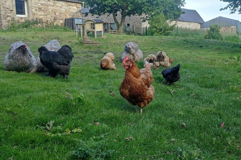 Holiday home De La Petite Ferme Bretonne Louargat